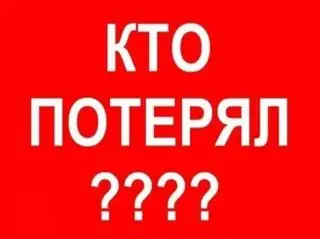 Пропала собака в Полоцке — уважаемые водители, разошлите информацию по знакомым: в районе Межно-2 Минская трасса, потерялись две…