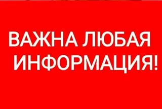 Найдена кошка в Полоцке — Новополоцк. Промзона. Максимальный репост! Есть информация, что на территории завода Нафтан, не…