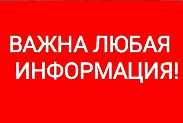 Найдена кошка в Полоцке — Новополоцк. Промзона. Максимальный репост! Есть информация, что на территории завода Нафтан, не…