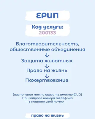 Найдена собака в Полоцке — Марта и Мила🫶