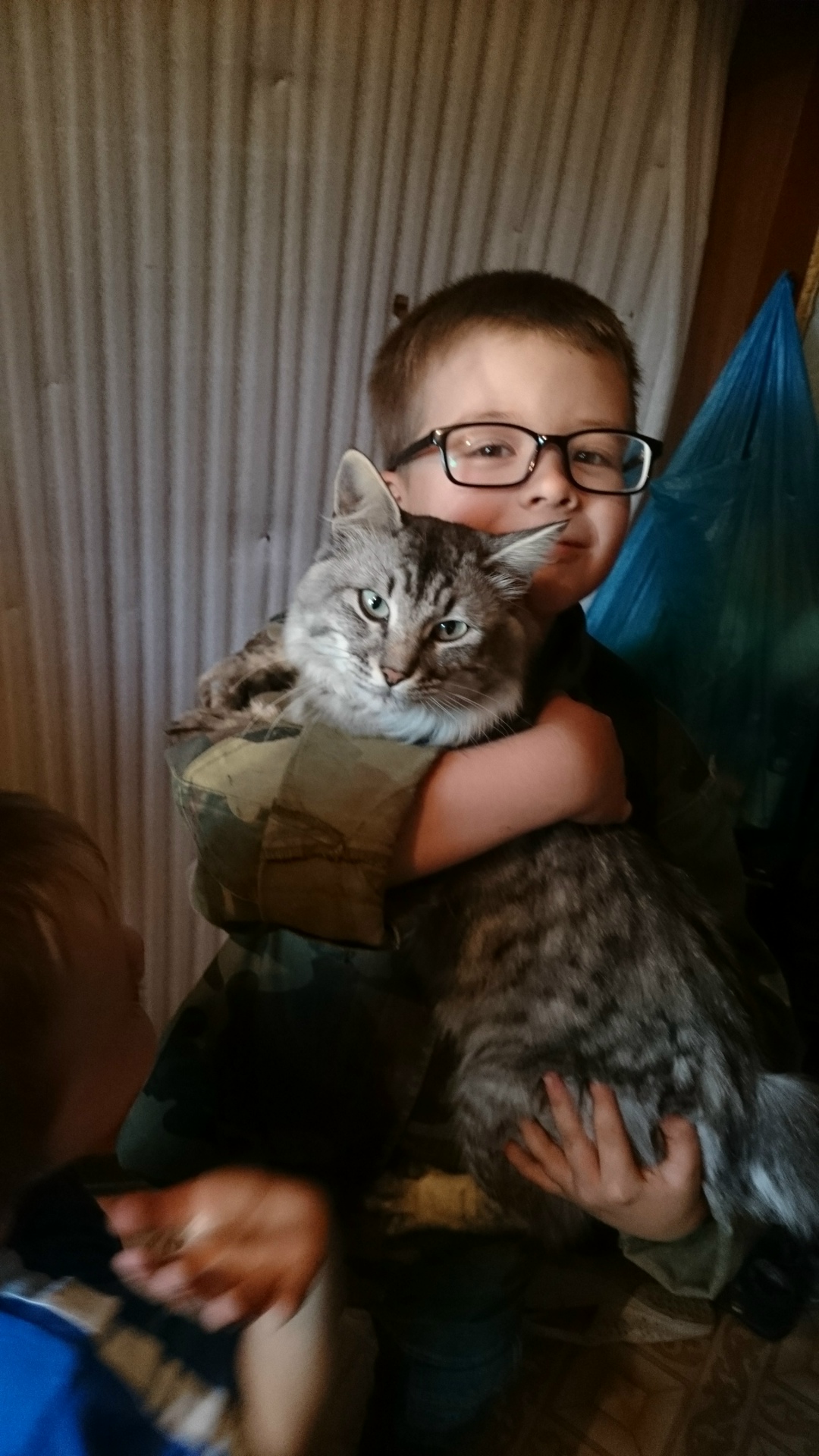 Найдена кошка в Берёзе — Маленькие радости нашего двора.