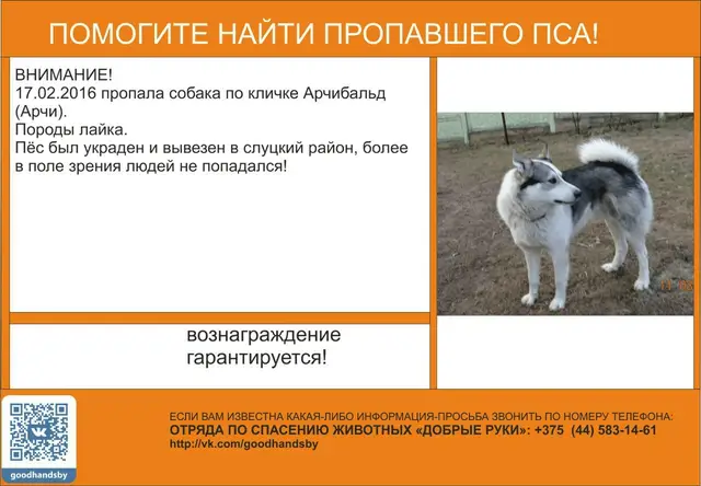 Найдена собака в Пинске — ВНИМАНИЕ! ПРОСИМ МАКСИМАЛЬНЫЙ РЕПОСТ!