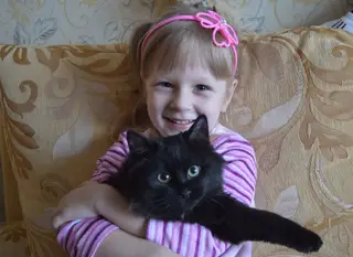 Пропала кошка в Пинске — Нужна помощь! 13 июля Потерялся кот на ул.Молодежной, в Лугах, возле магазинчиков Чаплина.