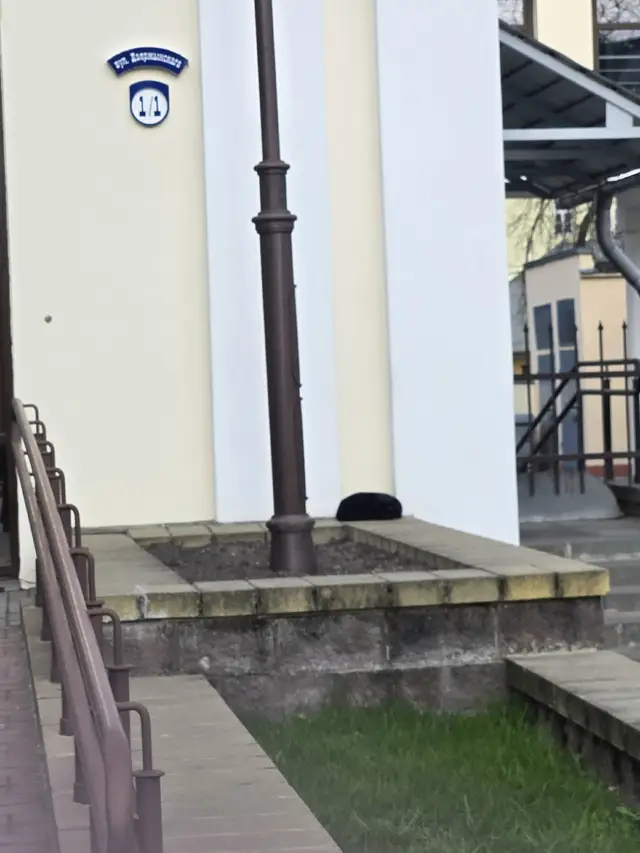 Найдена кошка в Барановичах — Весь вечер котик лежит, не уходит. Цент. Может, кто потерял или выкинули.. (. Очень нужен уголок…
