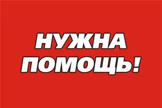 Найдена собака в Барановичах — В Столбцах, возле ЖД вокзала бегает очень худая собачка с поломанной передней лапой, которая…