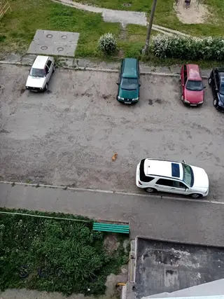 Пропала собака в Жлобине — Чья потеряшка, сидит второй день микрорайон 17 дом 4.5, возле 3 подъезда рыжий собачка маленькая с…