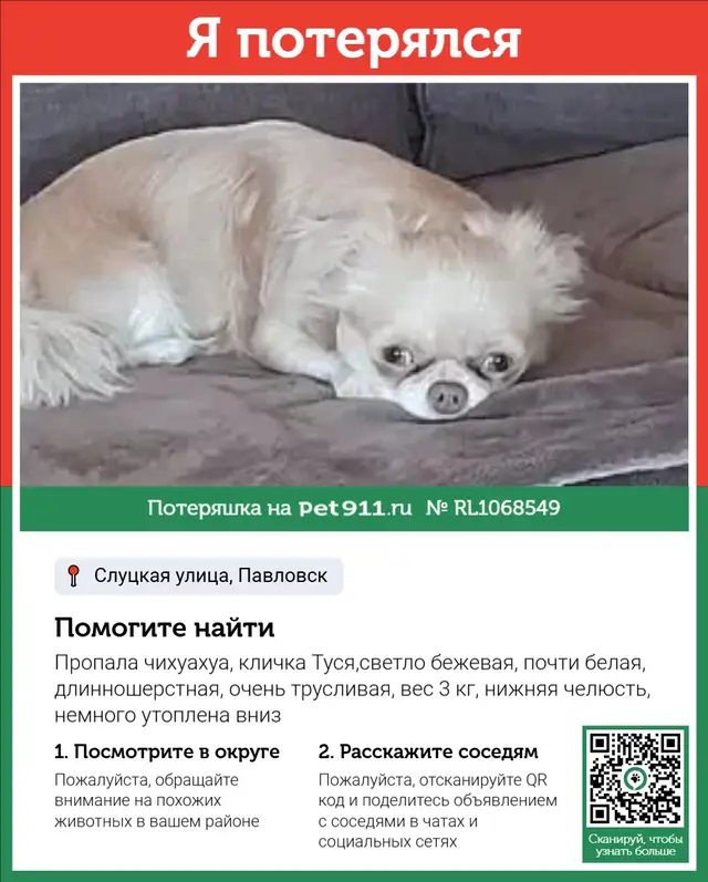 Пропала собака в Слуцке — фото объявления
