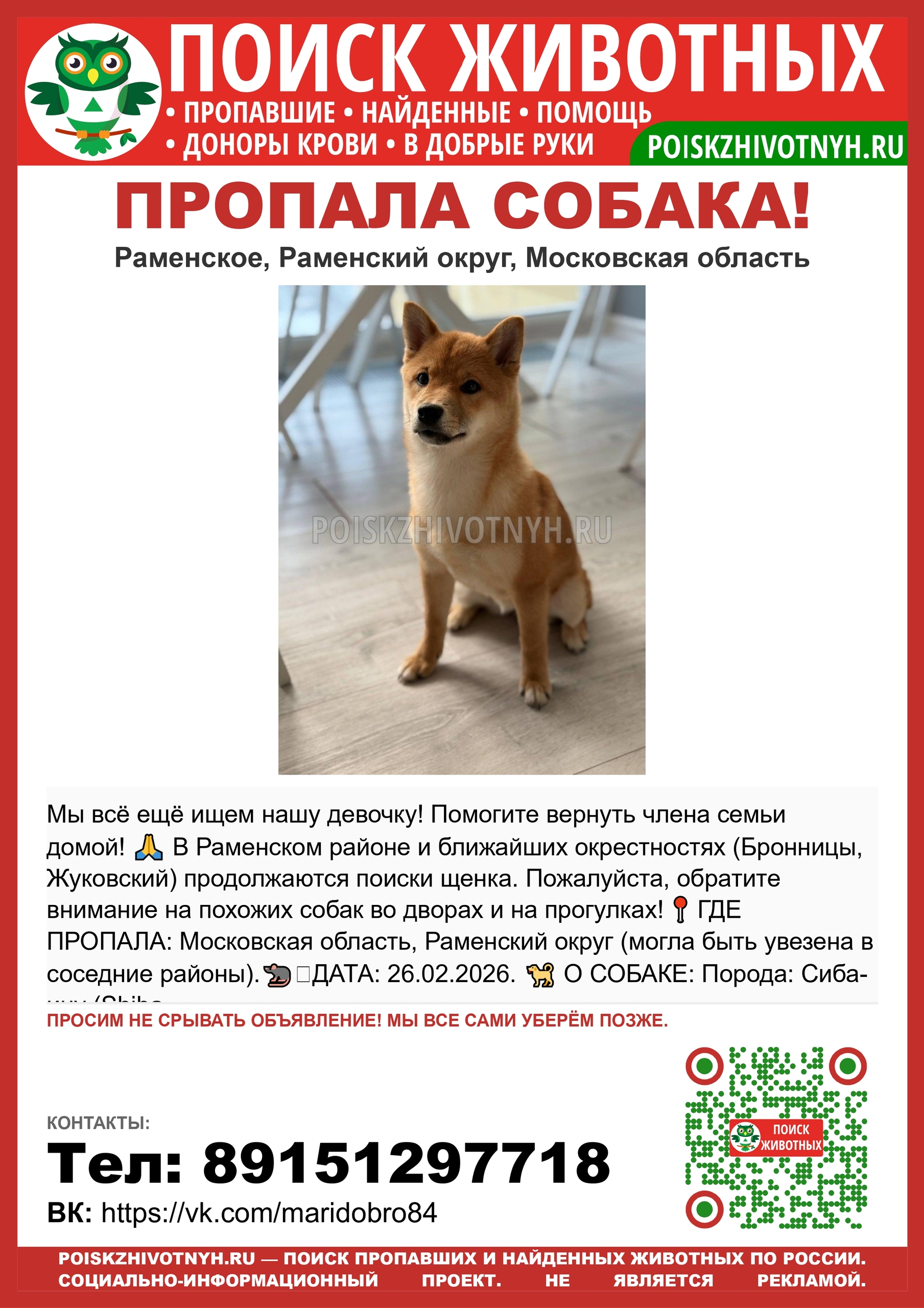 Пропавшая собака в Речице: 🆘 ПРОПАЛА СОБАКА! Раменское, Бронницы, Жуковский — потерялся щенок сиба-ину. Пропала собака в Речице — 🆘 ПРОПАЛА СОБАКА! Раменское, Бронницы, Жуковский — потерялся щенок сиба-ину.