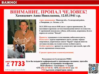 Пропала собака в Солигорске — Внимание, Солигорск!