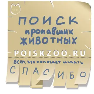 Пропала собака в Бресте — фото объявления